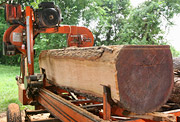 Cherry log on the saw mill